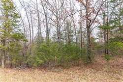 property photo for Crossroads Tract 5, 5.22 acres for sale in Douglas County, Missouri