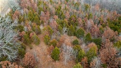 Crossroads Tract 9