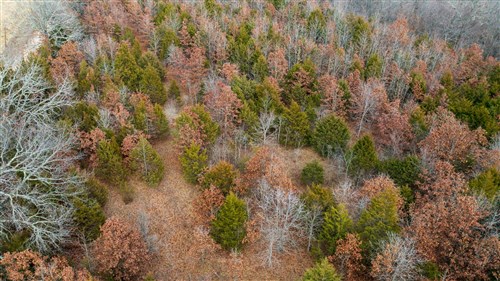 Crossroads Tract 9