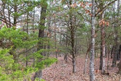 Crossroads Tract 9