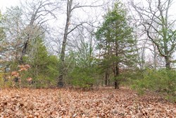 Crossroads Tract 9