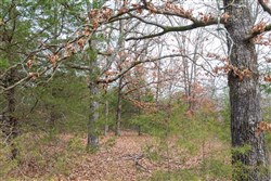 Crossroads Tract 9