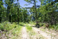 Timber Crossing Tract 23