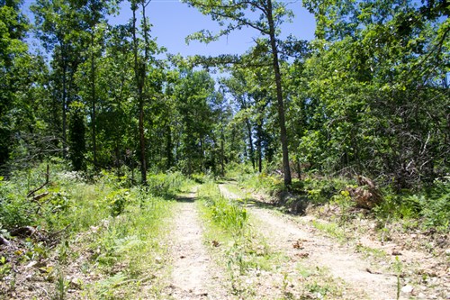 Timber Crossing Tract 23