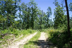 Timber Crossing Tract 23