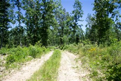 Timber Crossing Tract 23