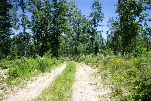 Timber Crossing Tract 23