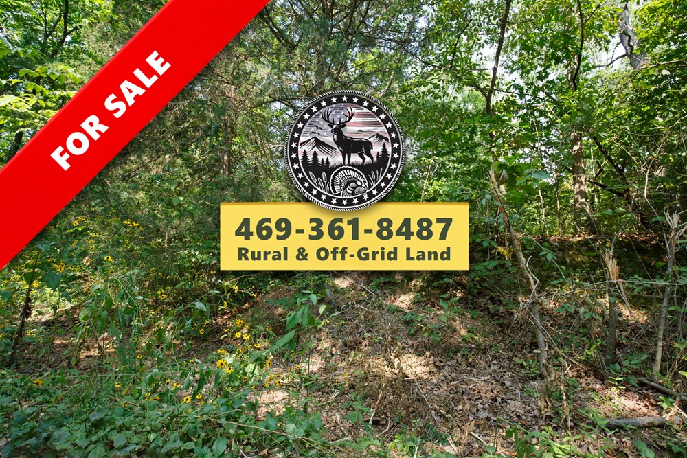 Springlake Tract 10 - Primary