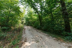 Springlake Tract 11