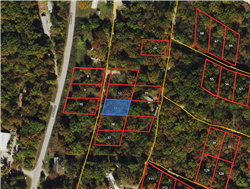 Springlake Tract 11