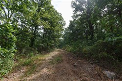 Springlake Tract 11