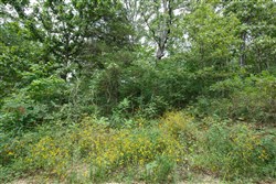 Springlake Tract 26