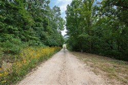 Springlake Tract 26