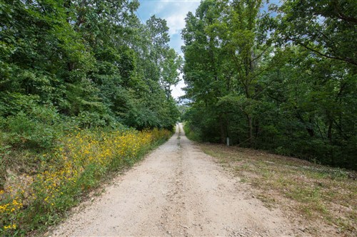 Springlake Tract 26