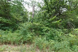 Springlake Tract 26