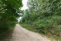 Springlake Tract 26