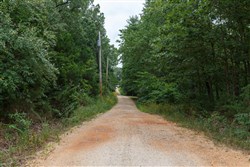 Springlake Tract 29