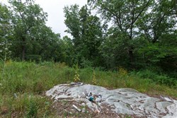 Springlake Tract 29