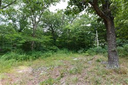 Springlake Tract 29