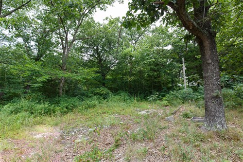 Springlake Tract 29