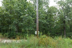 Springlake Tract 29
