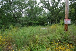 Springlake Tract 29