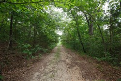 Springlake Tract 37