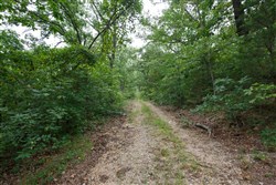 Springlake Tract 37