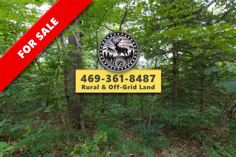Springlake Tract 37 - Primary