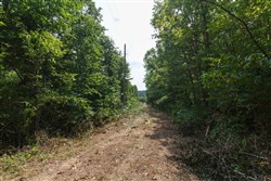 Springlake Tract 55