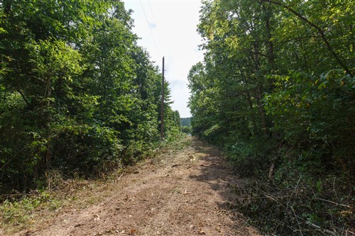 Springlake Tract 55