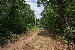 Springlake Tract 55