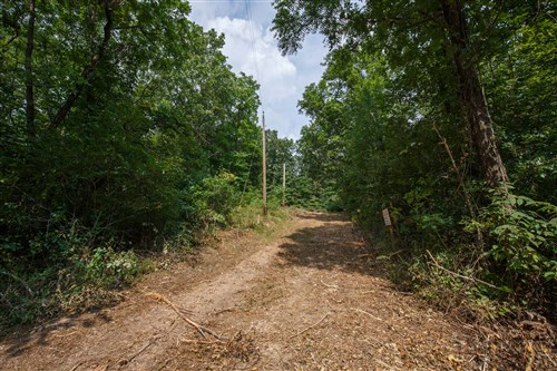 Springlake Tract 55