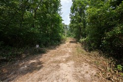 Springlake Tract 55