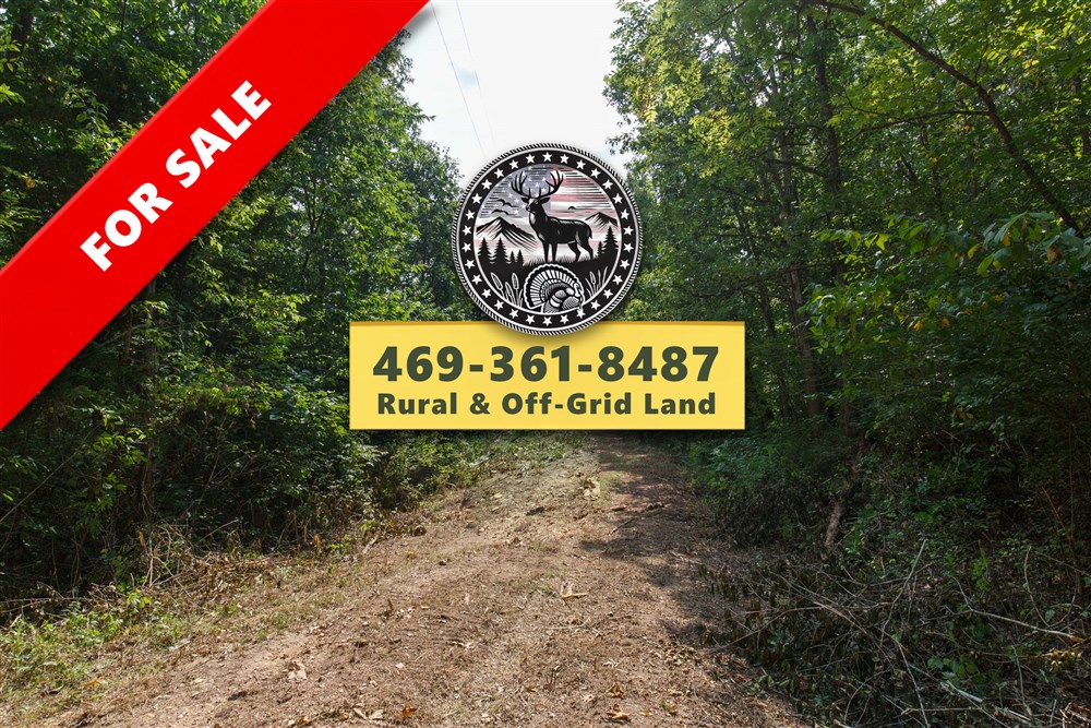Springlake Tract 55 - Primary
