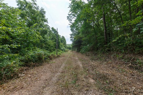 Springlake Tract 57
