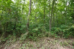 Springlake Tract 57