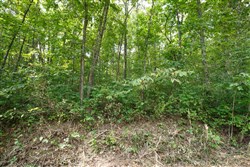 Springlake Tract 57