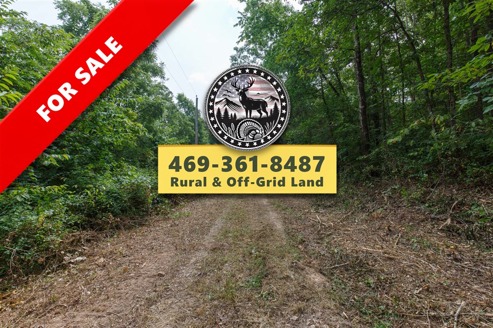 Springlake Tract 57 - Primary