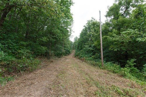 Springlake Tract 58