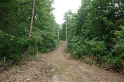 Springlake Tract 58