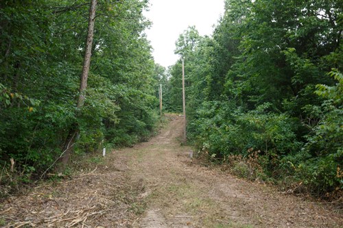 Springlake Tract 58