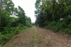 Springlake Tract 58