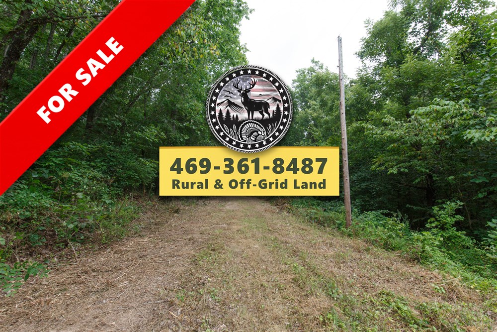 Springlake Tract 58 - Primary