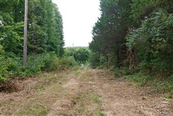 Springlake Tract 59