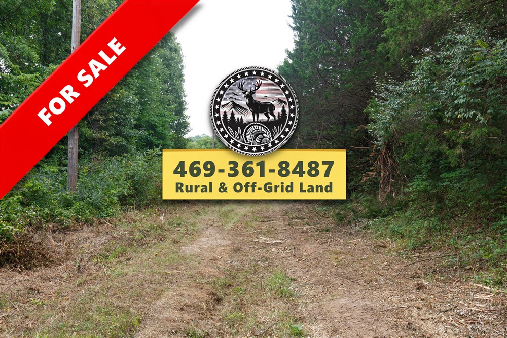 Springlake Tract 59 - Primary