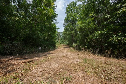 Springlake Tract 67