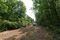 Springlake Tract 67