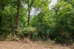 Springlake Tract 67