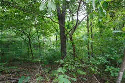 Springlake Tract 67